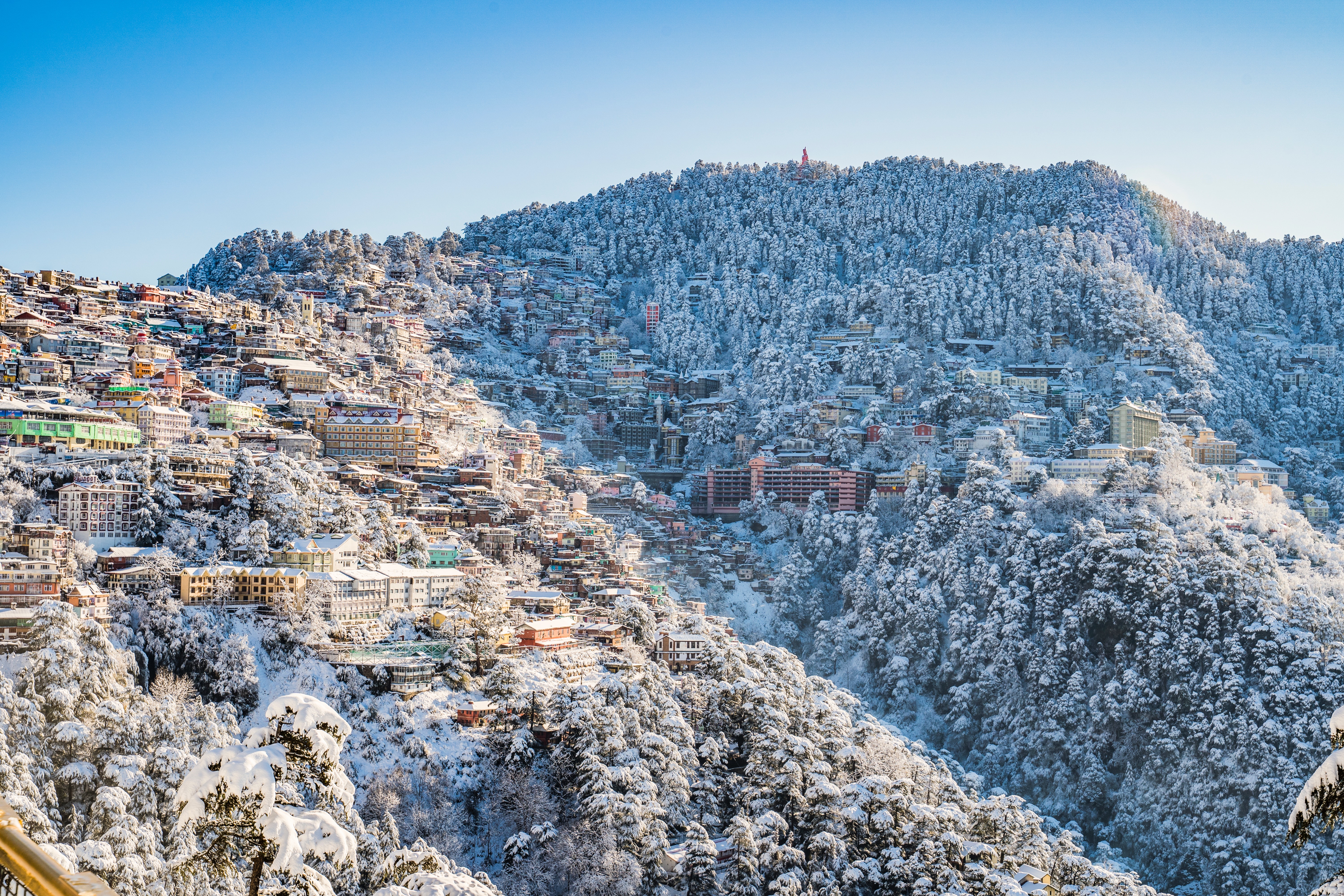 Sanjauli Shimla